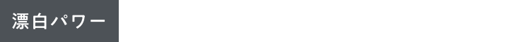 アイコン-漂白パワー