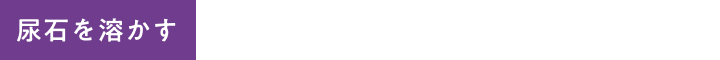 アイコン-尿石を溶かす